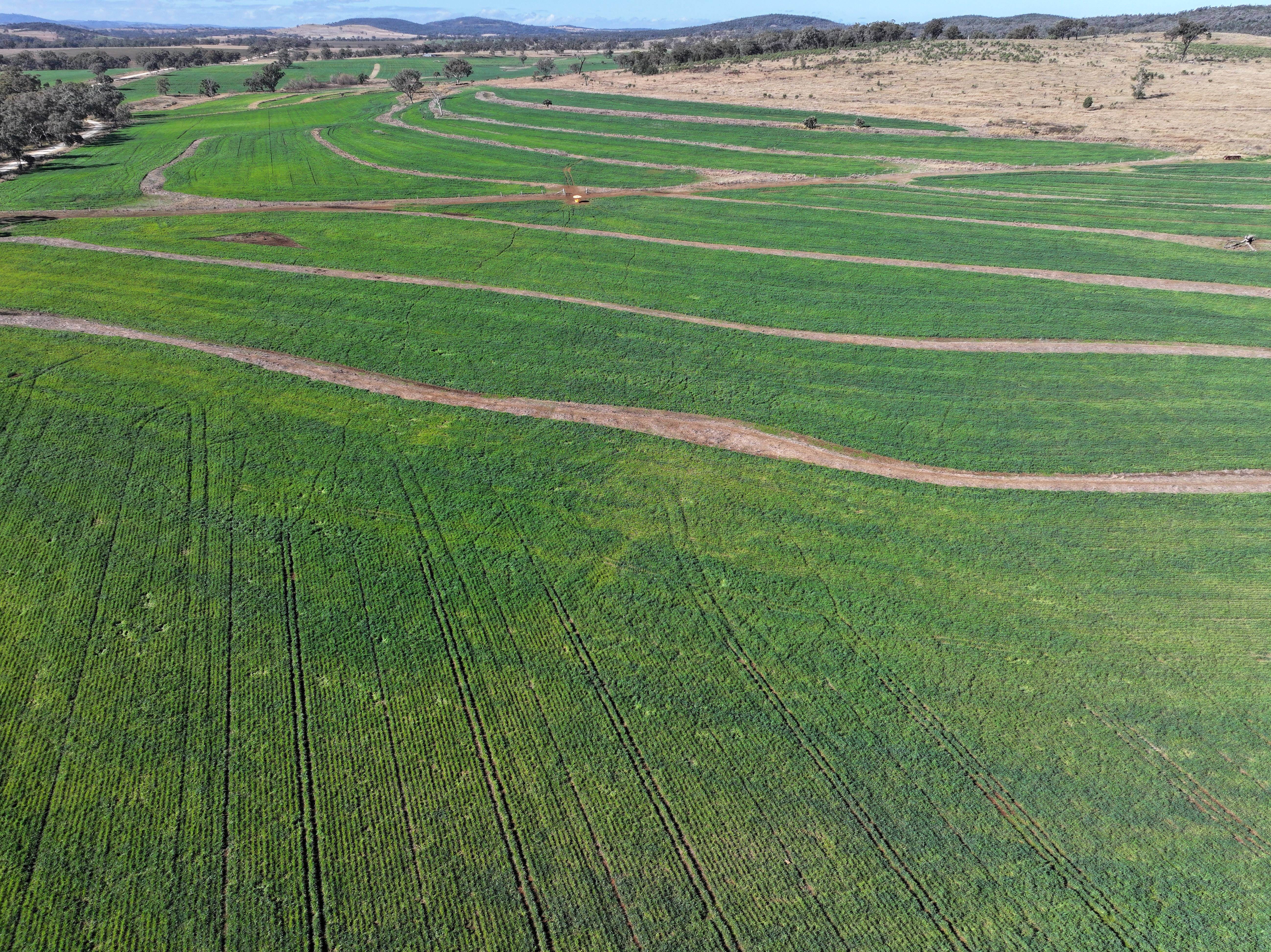 Property round-up: Gun Agri Partners and Go.Farm make rural real estate moves