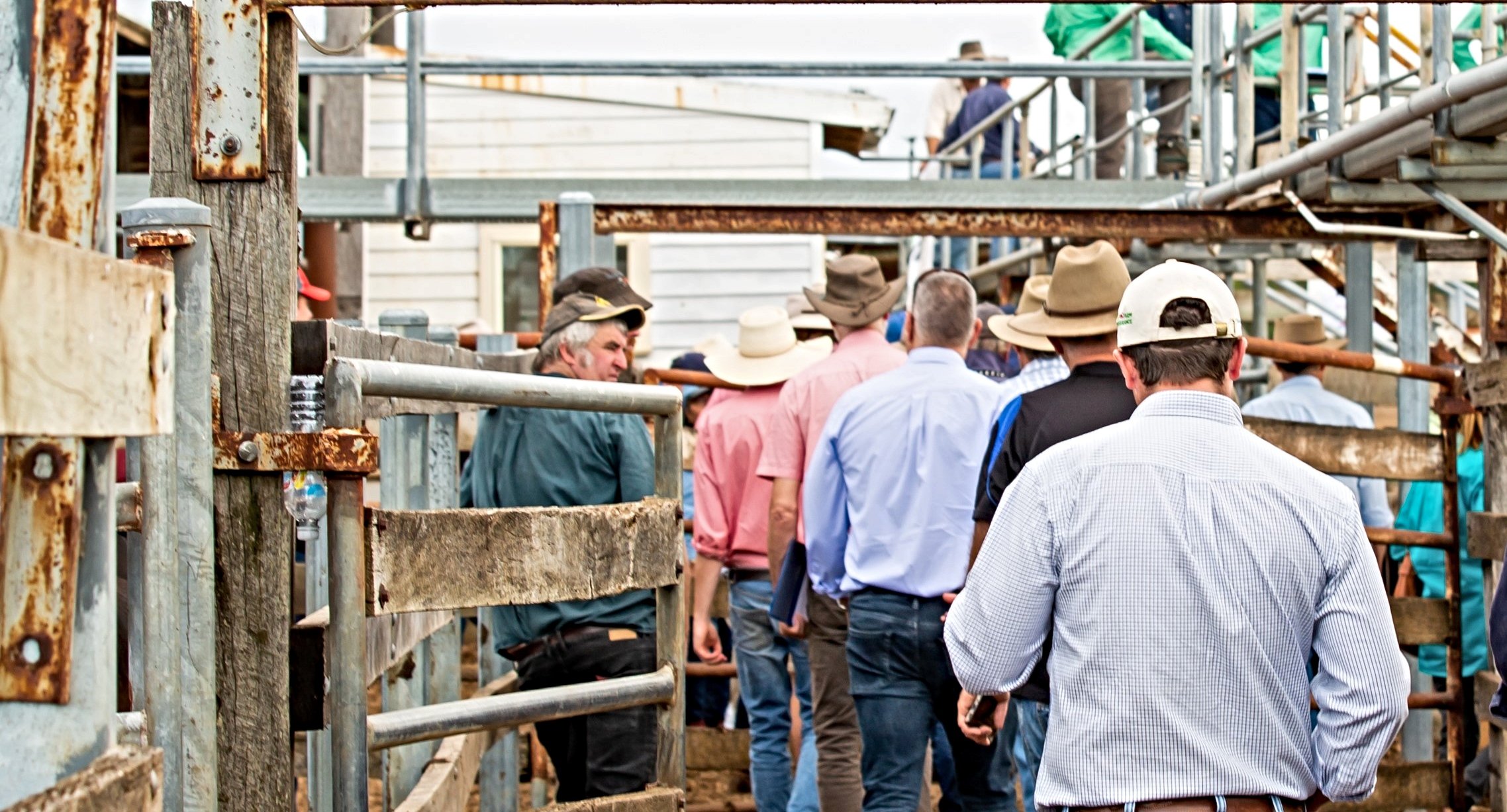 Commodity prices and seasonal conditions driving industry confidence down