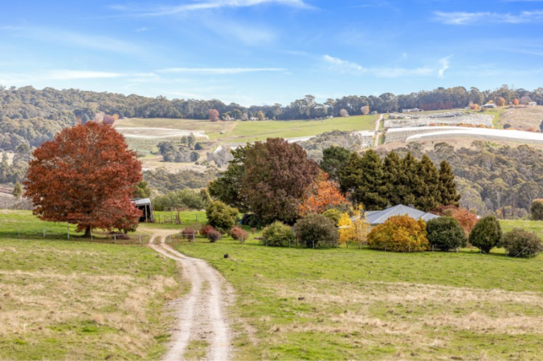 Rural property wrap: see the new average price per hectare in your state