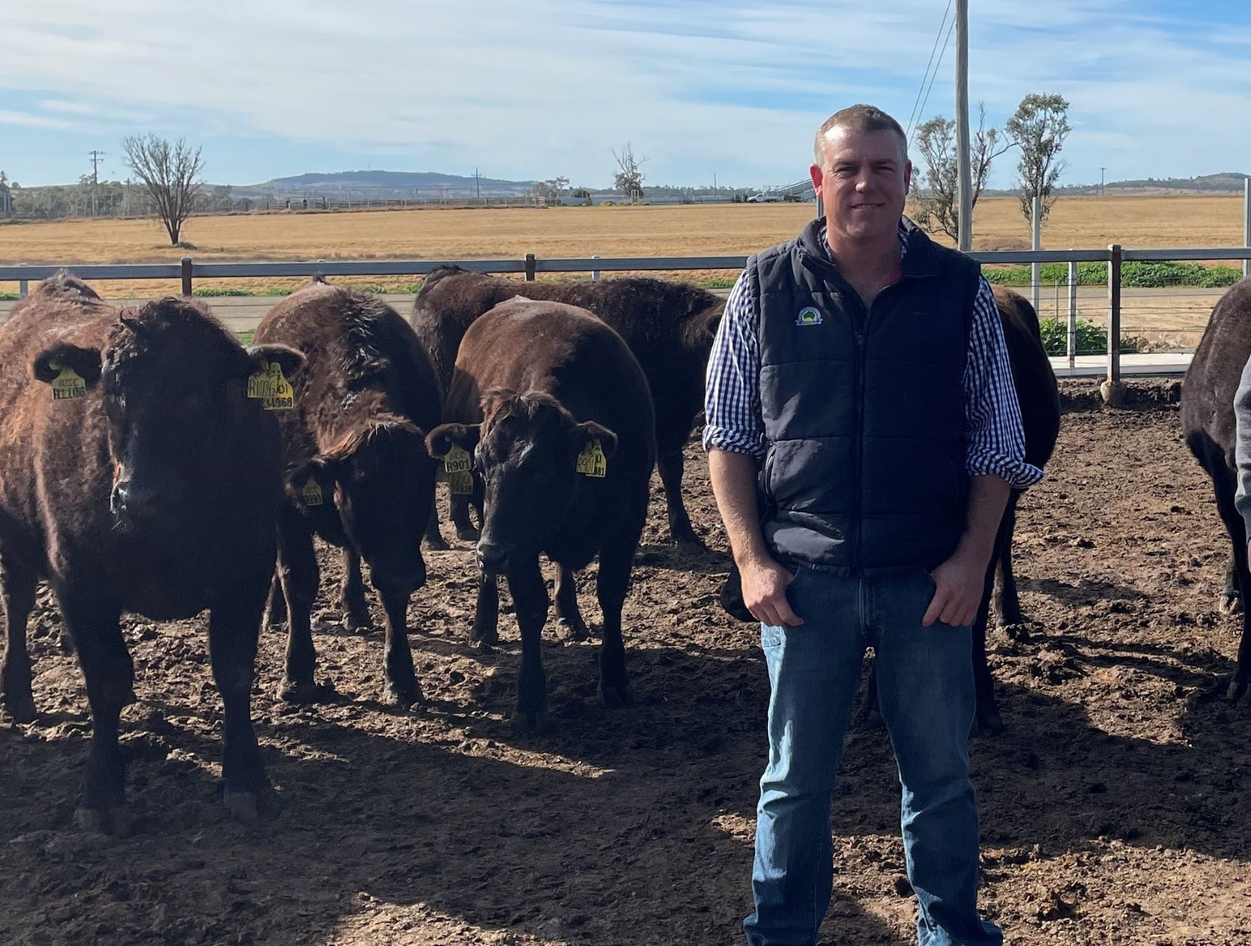 ACC's journey to 3,000 fullblood Wagyu breeders to be explored at conference