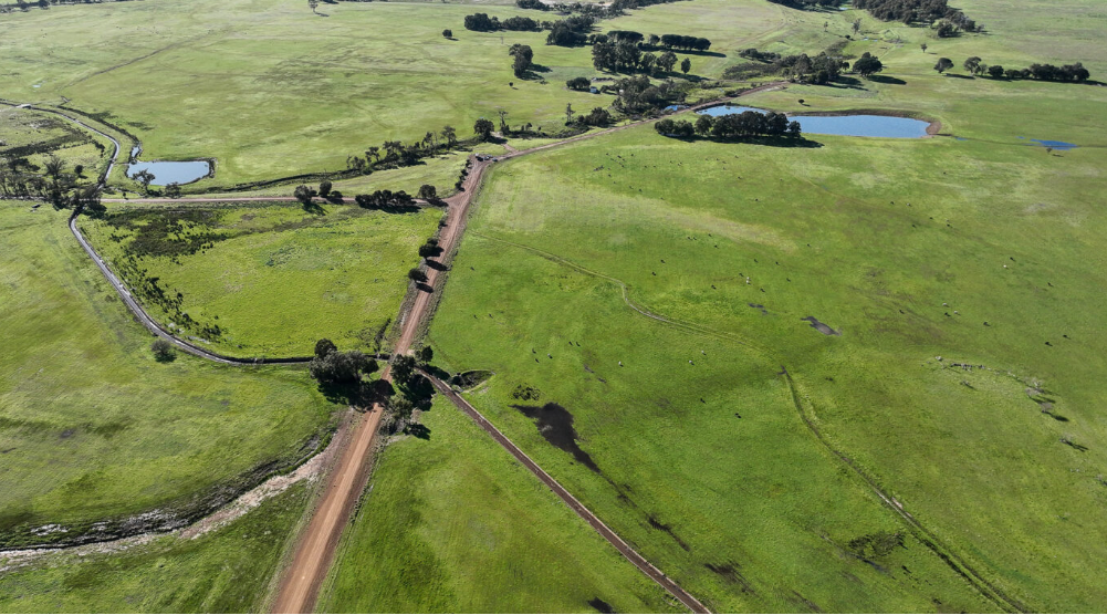 Property Roundup: highly-productive country in tightly-held WA, NSW and Tas regions