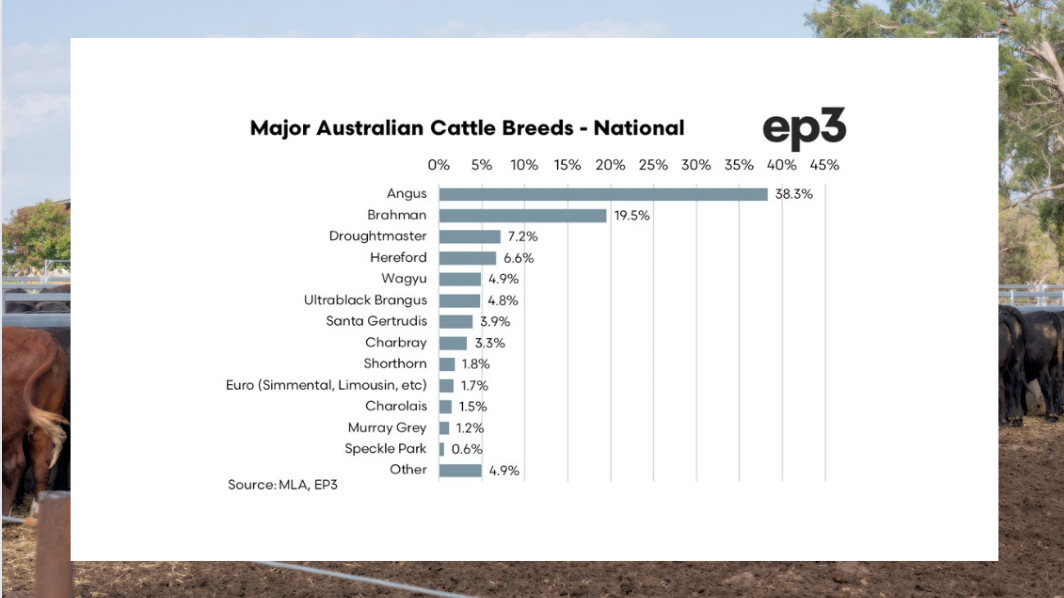What are the most popular breeds?