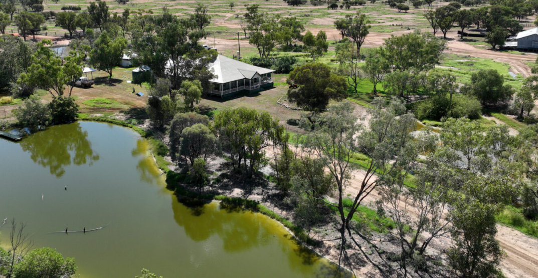 Property Roundup: $6.5m plus for Tenterfield Wagyu backgrounder, 40,000ha ‘Boanbirra' ends era