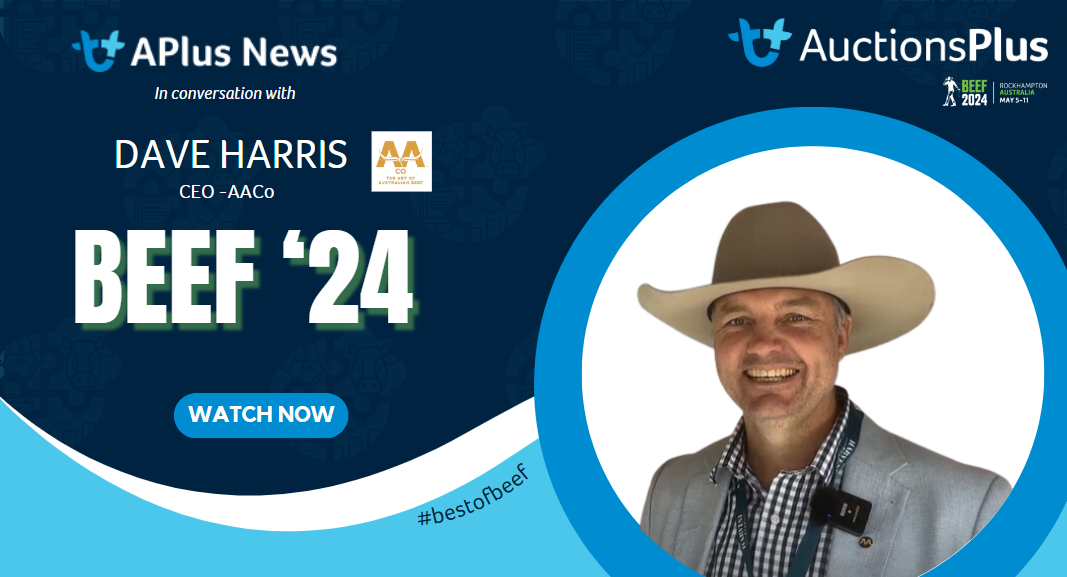 David Harris on AACo's long-term vision