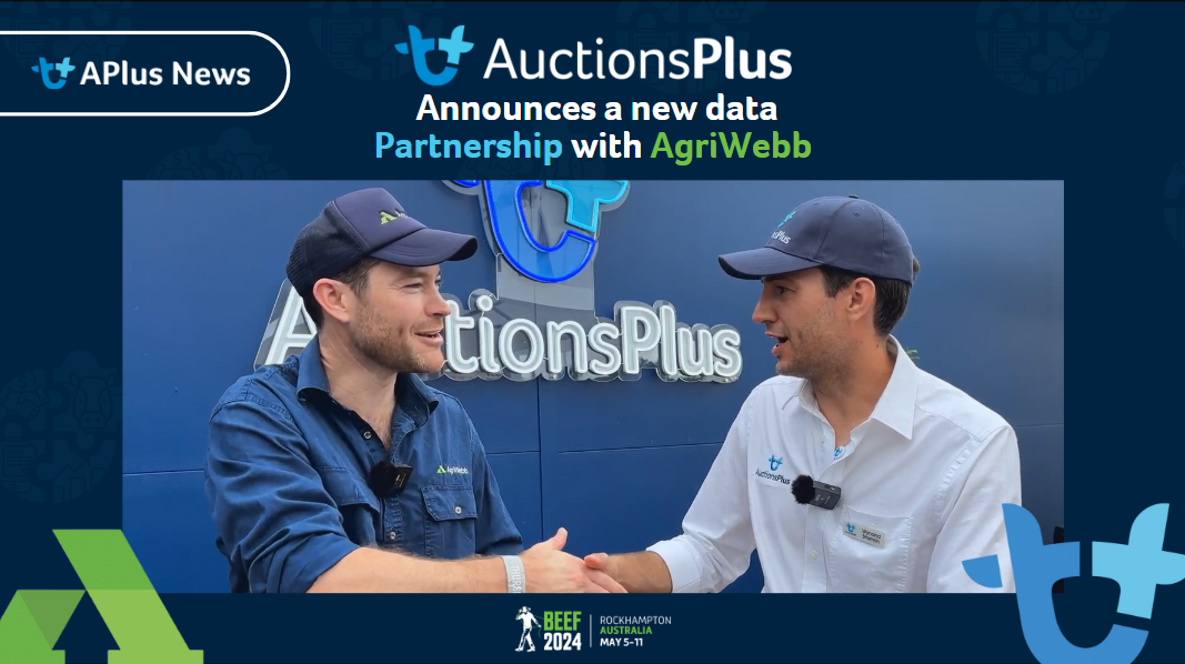 AuctionsPlus announces a new data partnership with AgriWebb at Beef 2024