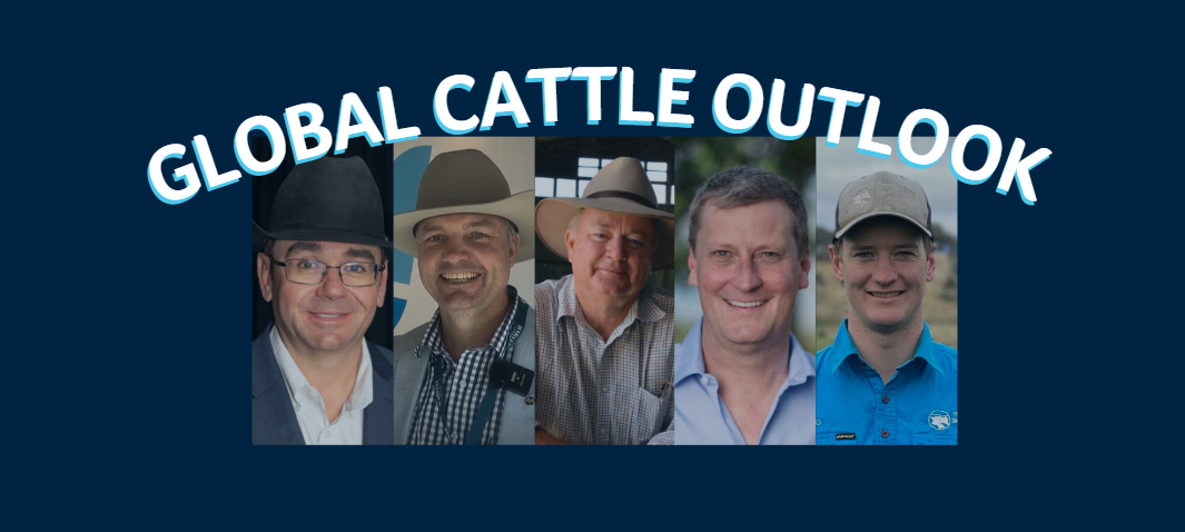 Global Cattle Outlook: Experts weigh in