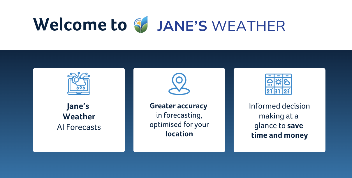 Introducing Jane's Weather: Weather it Better