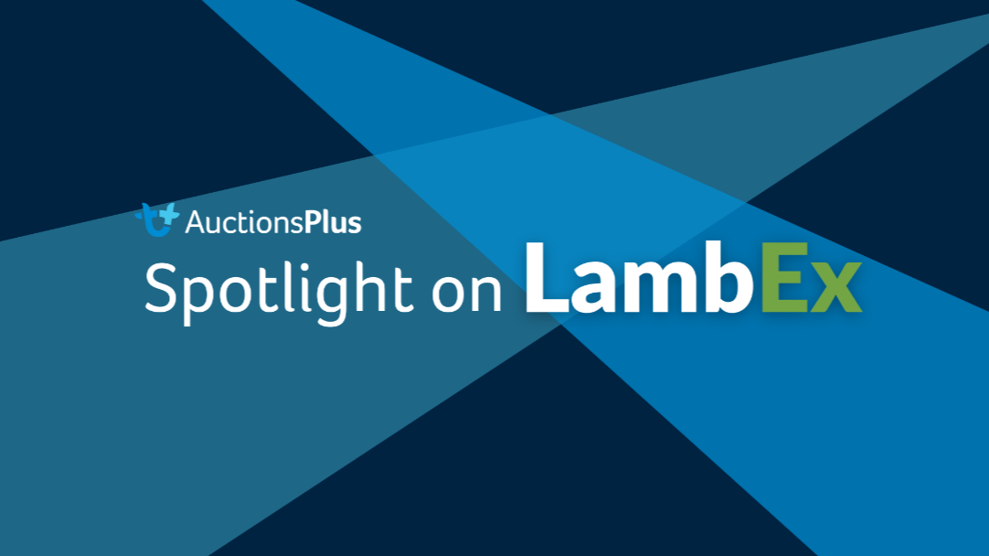 Spotlight on LambEx 2024
