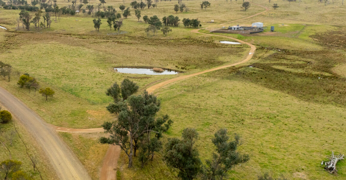 Property Roundup: Major movements from Northern NSW & VIC’s largest tomato farms ripe for sale