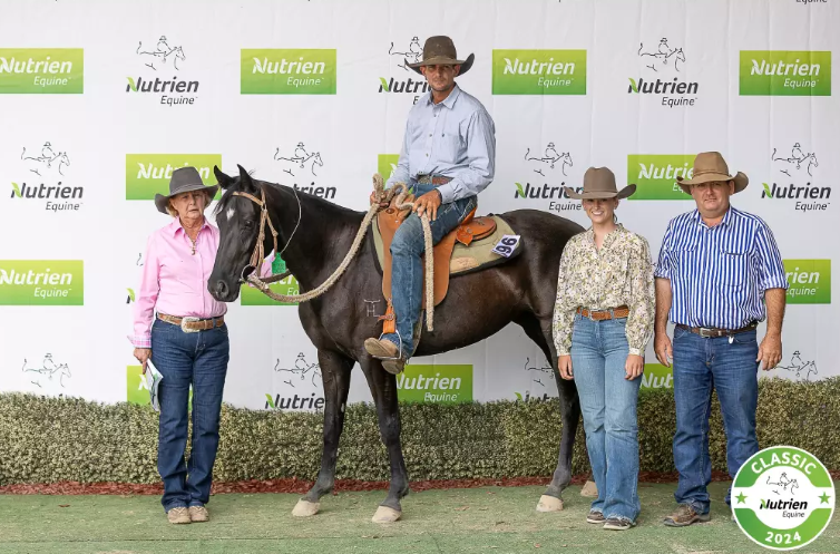 On the eleventh day of Christmas: Horse sales top at $180,000