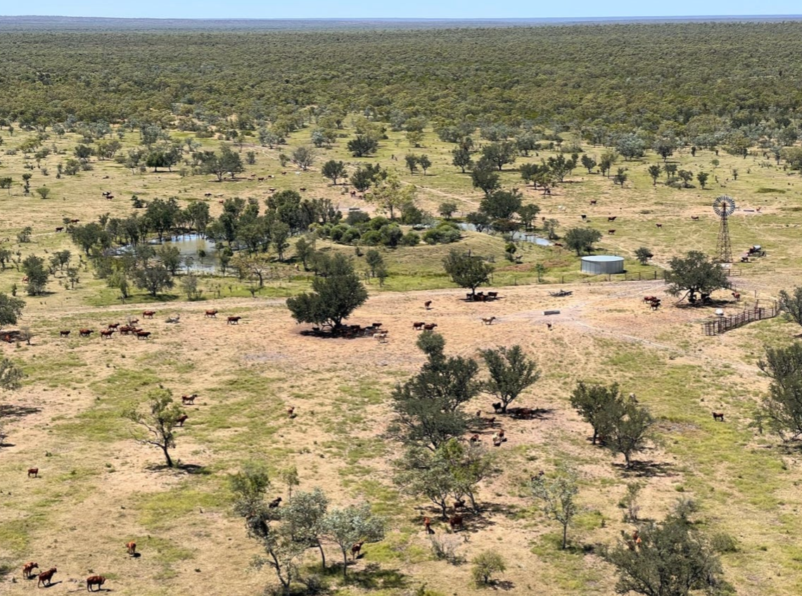 US-based energy firm lists Benmara Station with $40 million price hopes