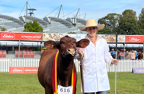 Beef, balance sheets and big plans: How one 22-year-old is doing it all