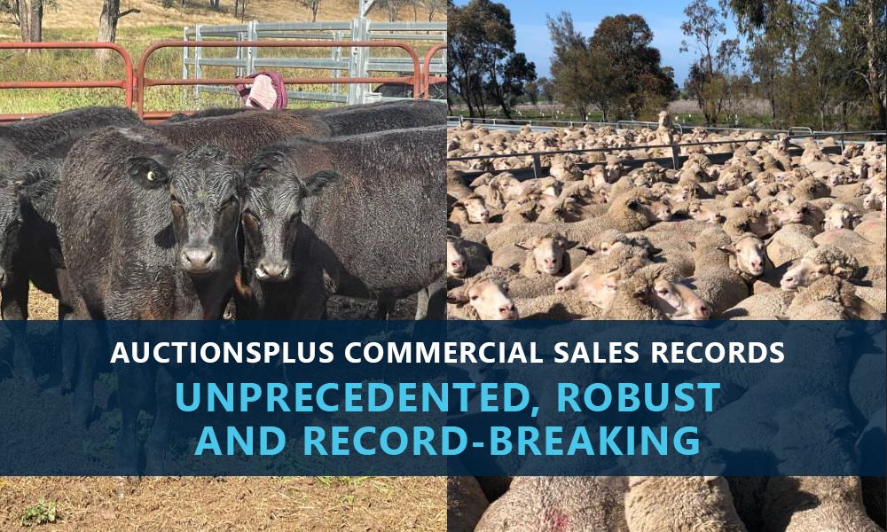 Setting the Bar Higher: AuctionsPlus Commercial Sales Records