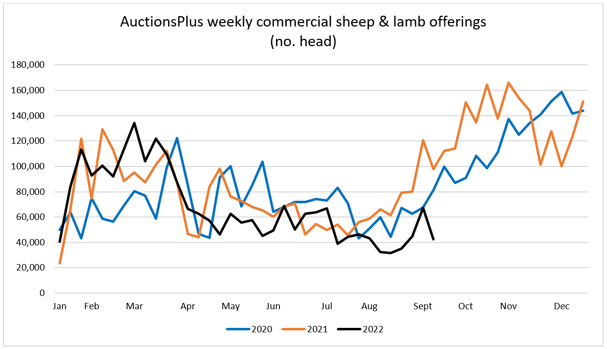 Weekly Sheep & Lamb Comments - Week ending Friday 16th September 2022