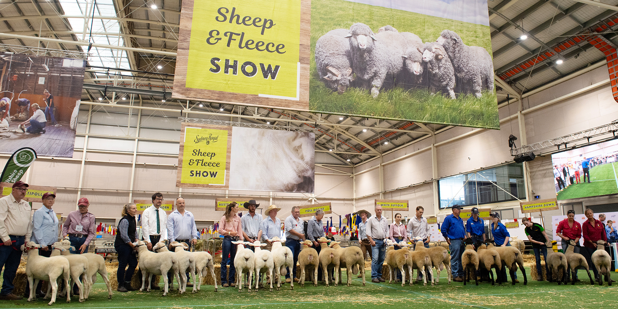 Benchmarking Excellence: Inside the Sydney Royal Sheep & Fleece Show
