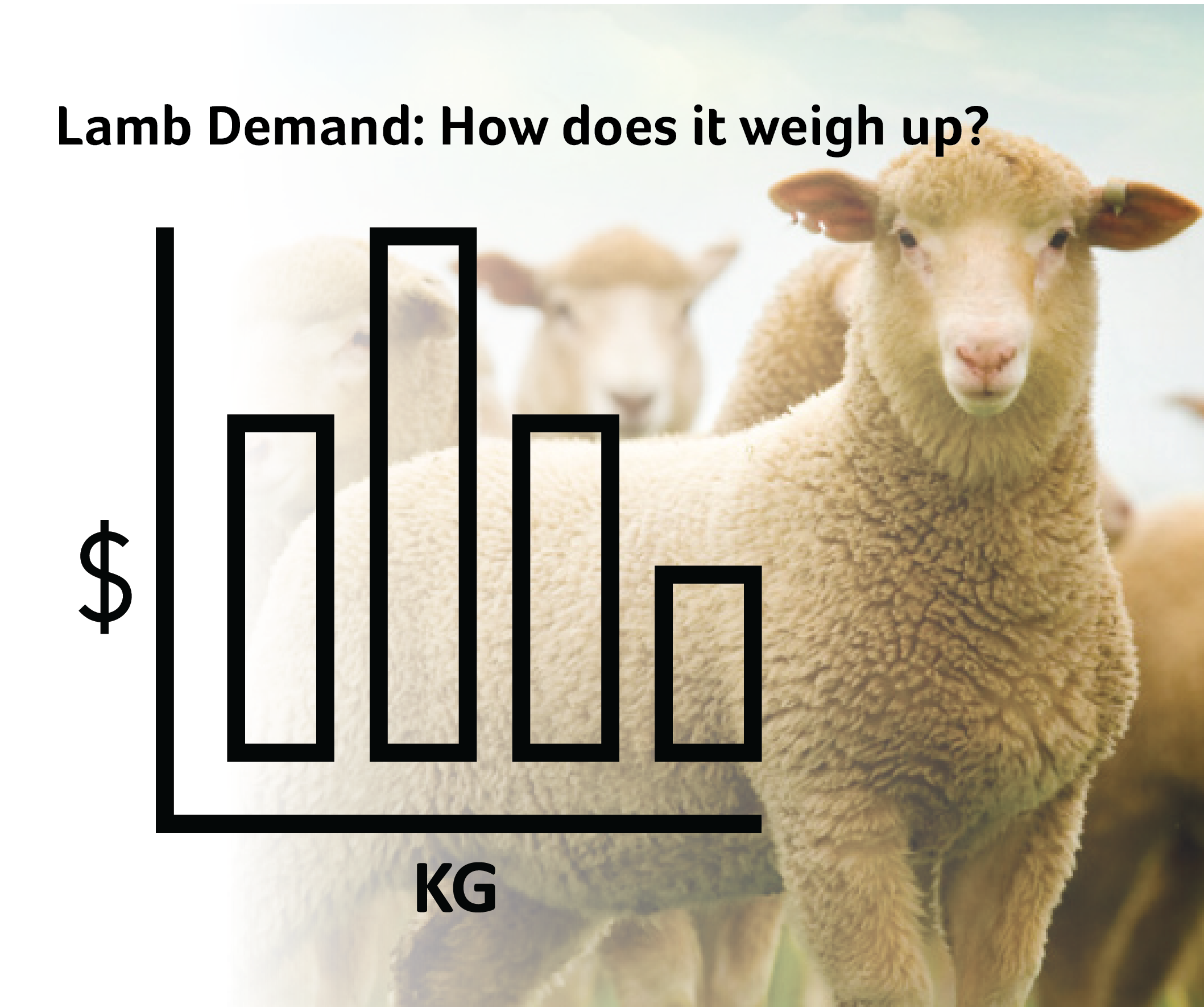 Lamb Demand: How Does it Weigh Up?
