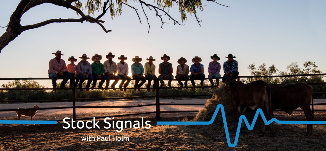 Mastering the art of timing to optimise your cattle sale