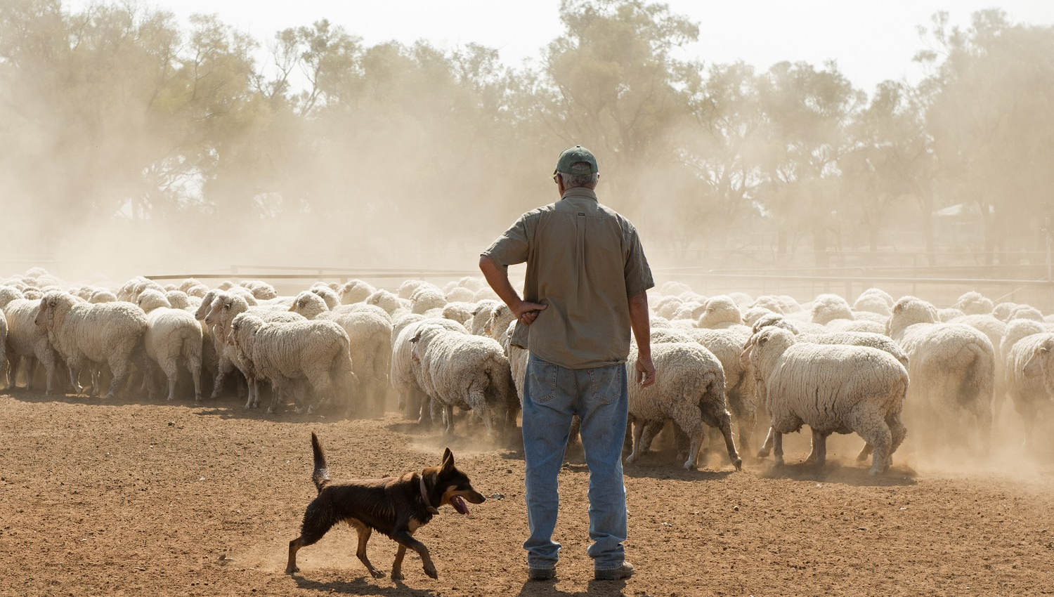 The mental war on Australia's farmers