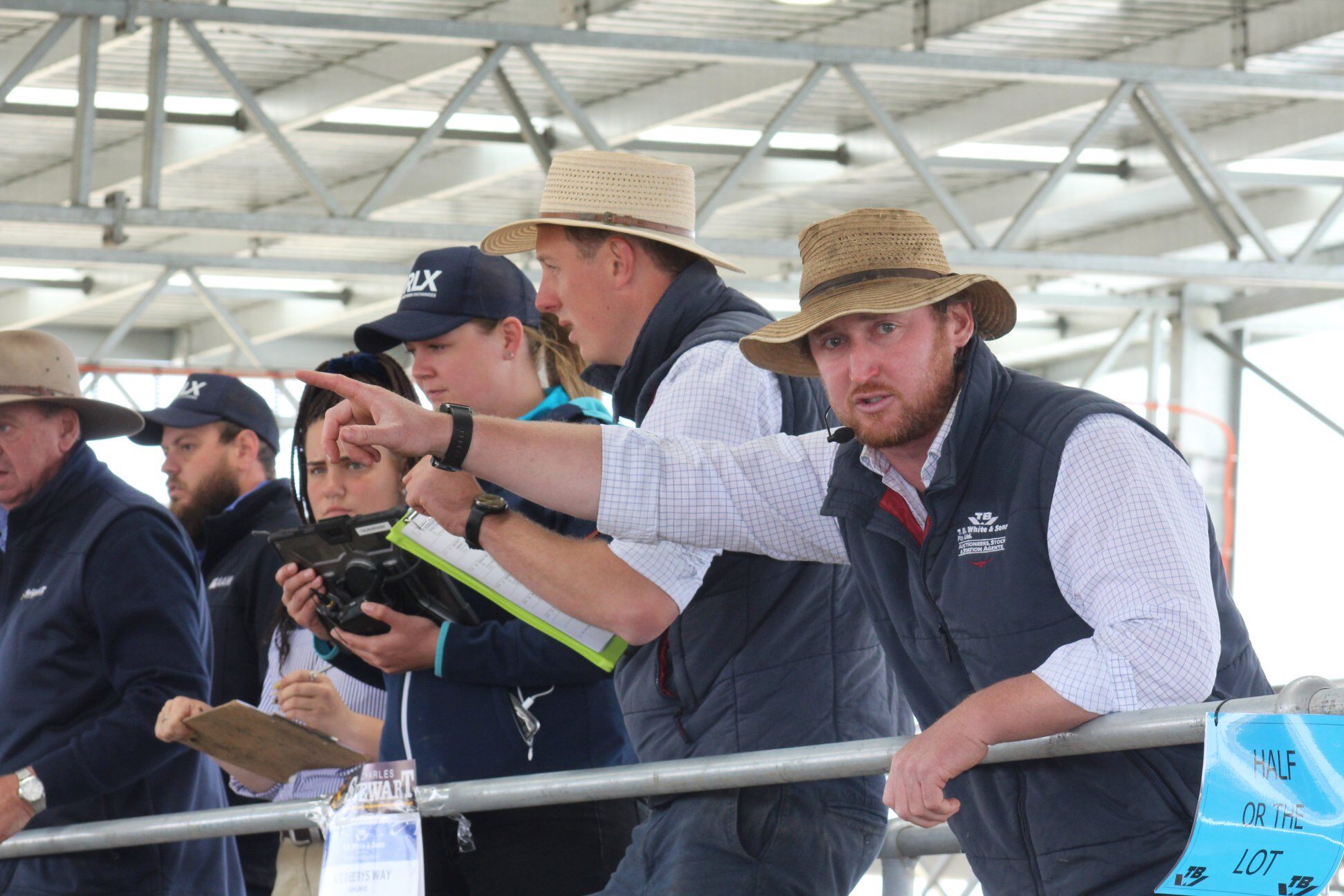 Gary Dick Award (sheep) - AuctionsPlus Awards 2024