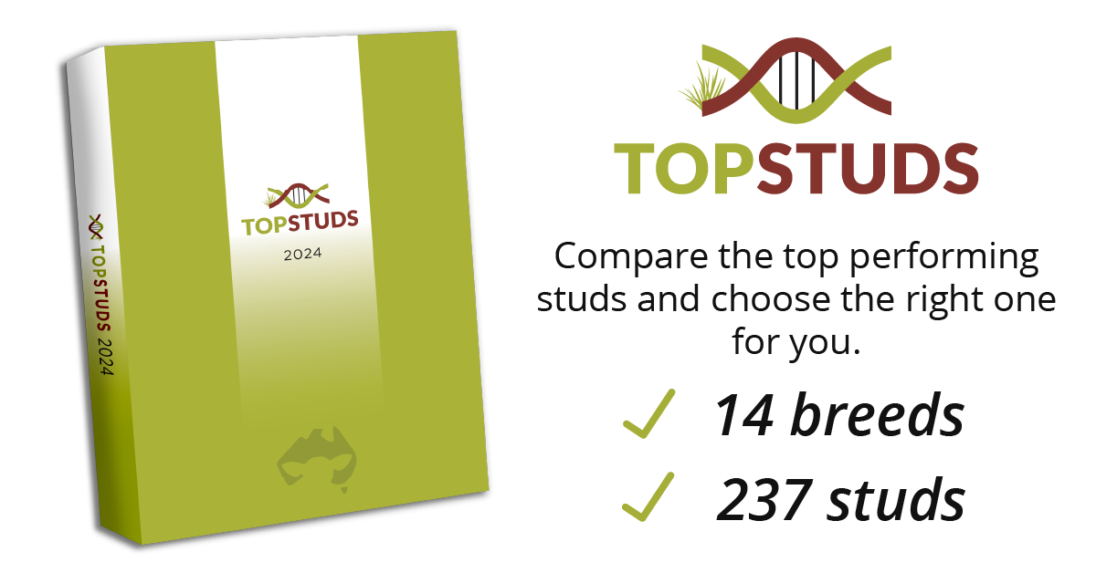 Purchasing the right genetics is key to herd performance
