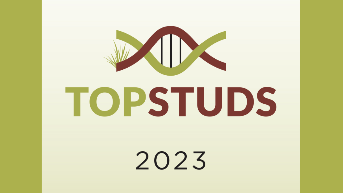 BushAgri releases Top Studs index