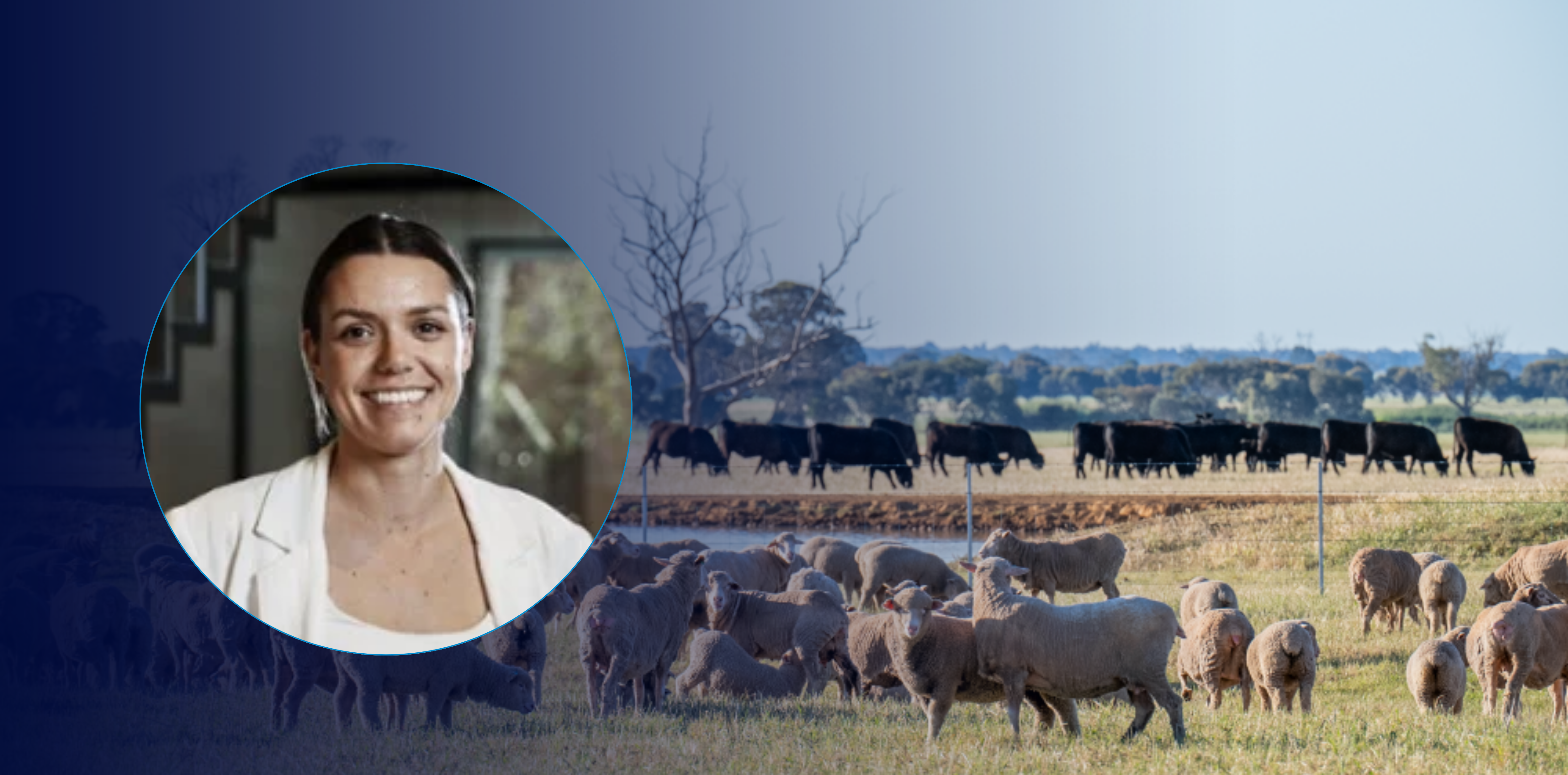 WATCH: APlus News - Erin Lukey's top six livestock trends for 2024