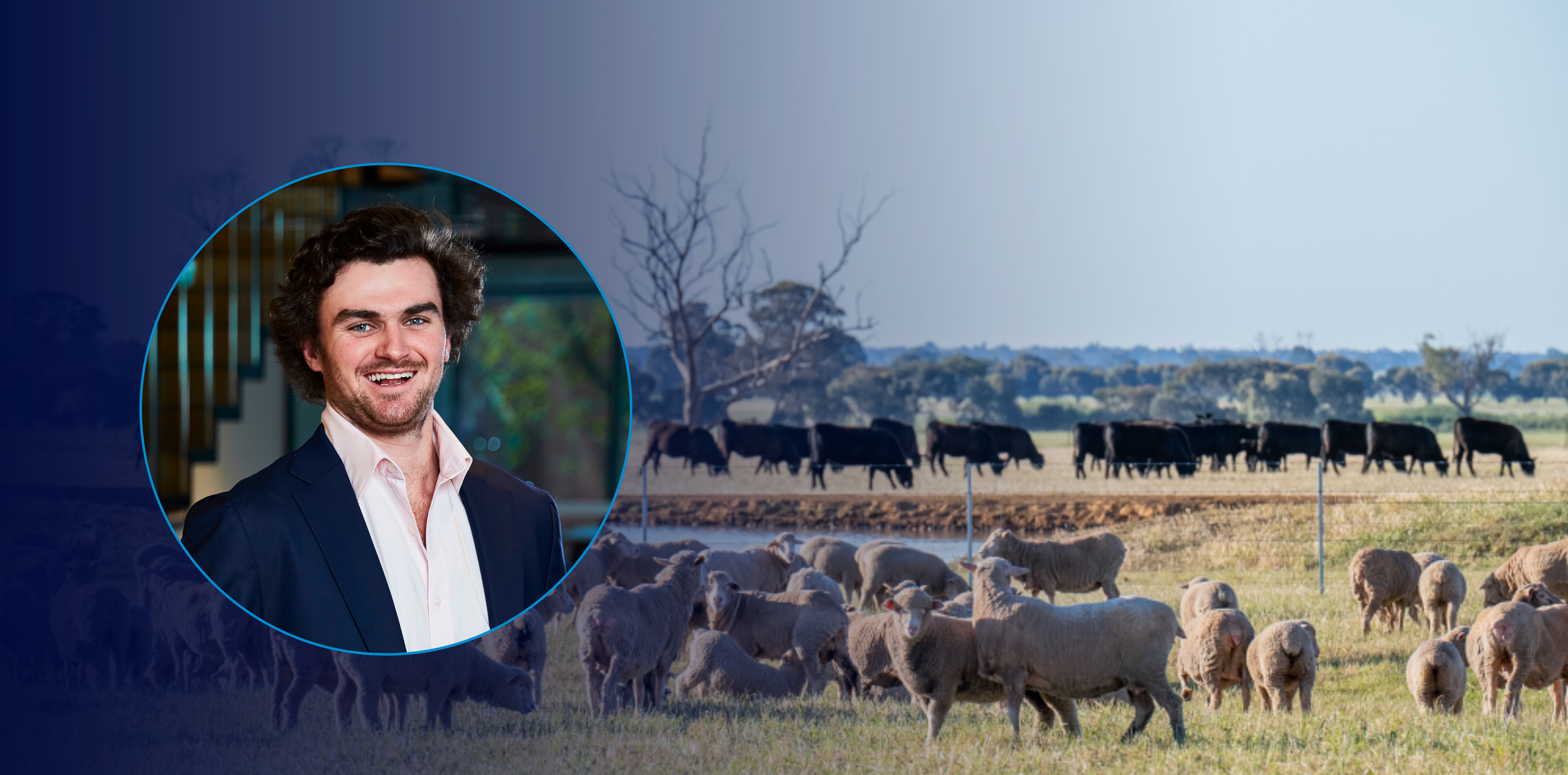 WATCH: Ripley's key factors to watch in 2025 for the cattle market