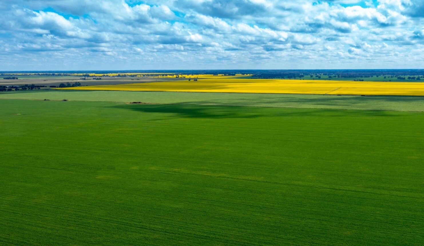Torrumbarry Farms Aggregation expected to make over $60 million