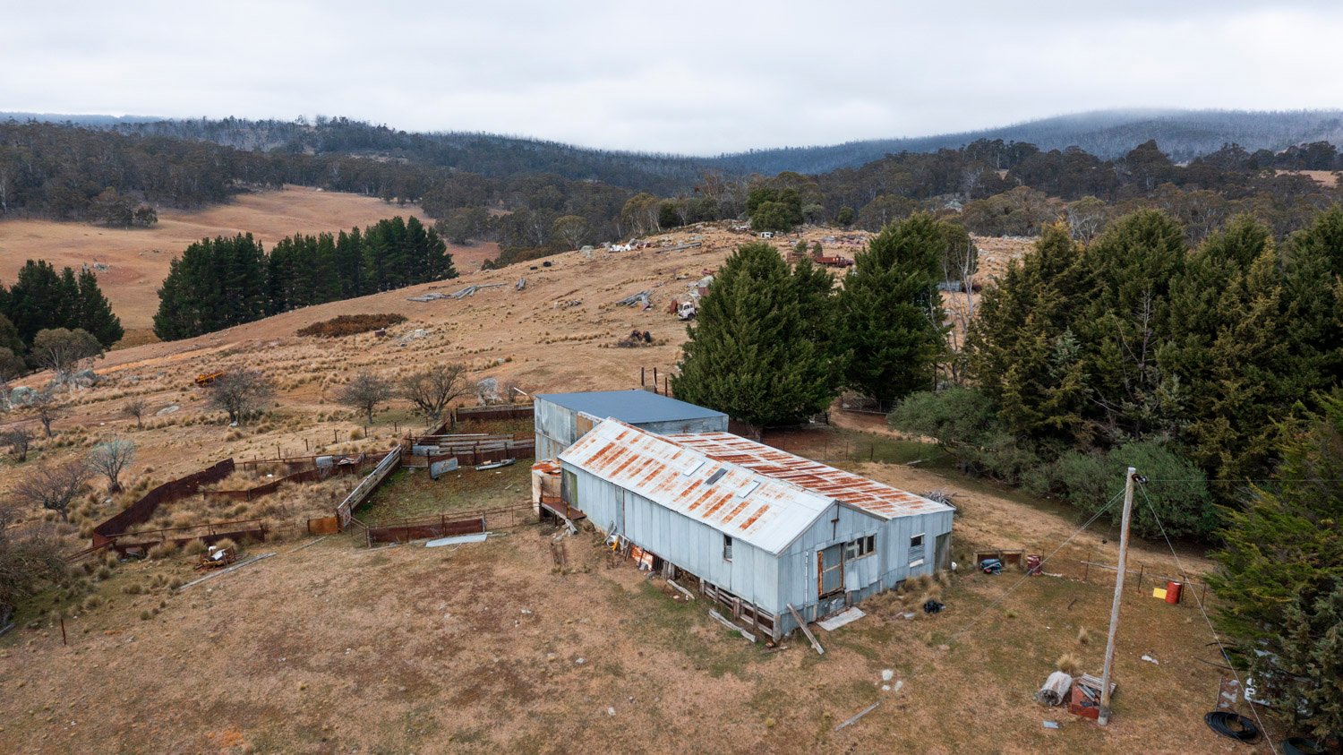 Property: Carbon project potential on offer and Wagyu breeders snap up $66m station