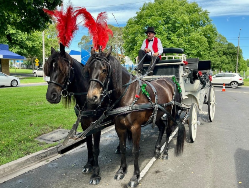 Carriage champions change hands as buyers saddle up for rare opportunity