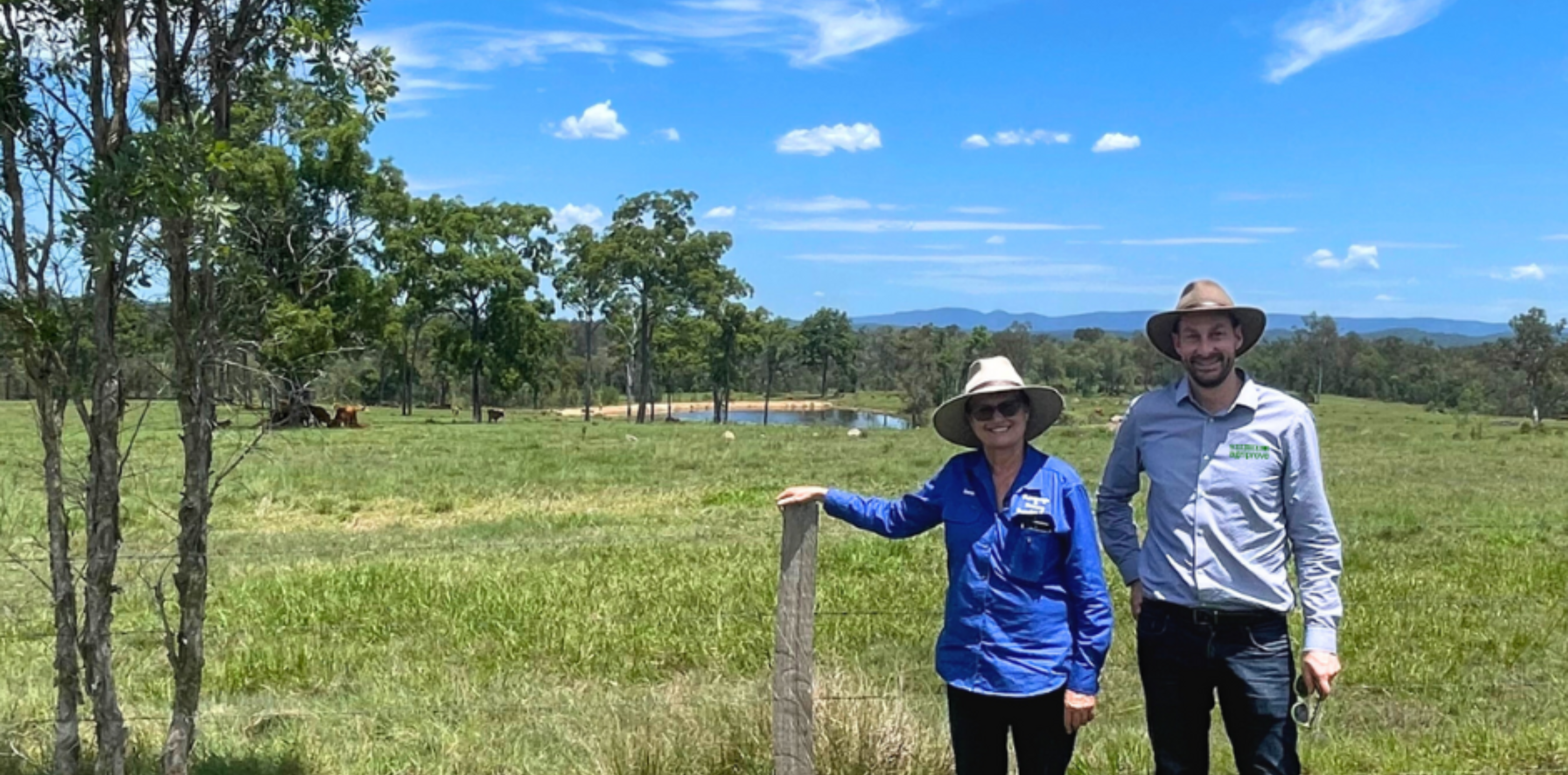 How soil carbon projects are boosting farm profits and productivity