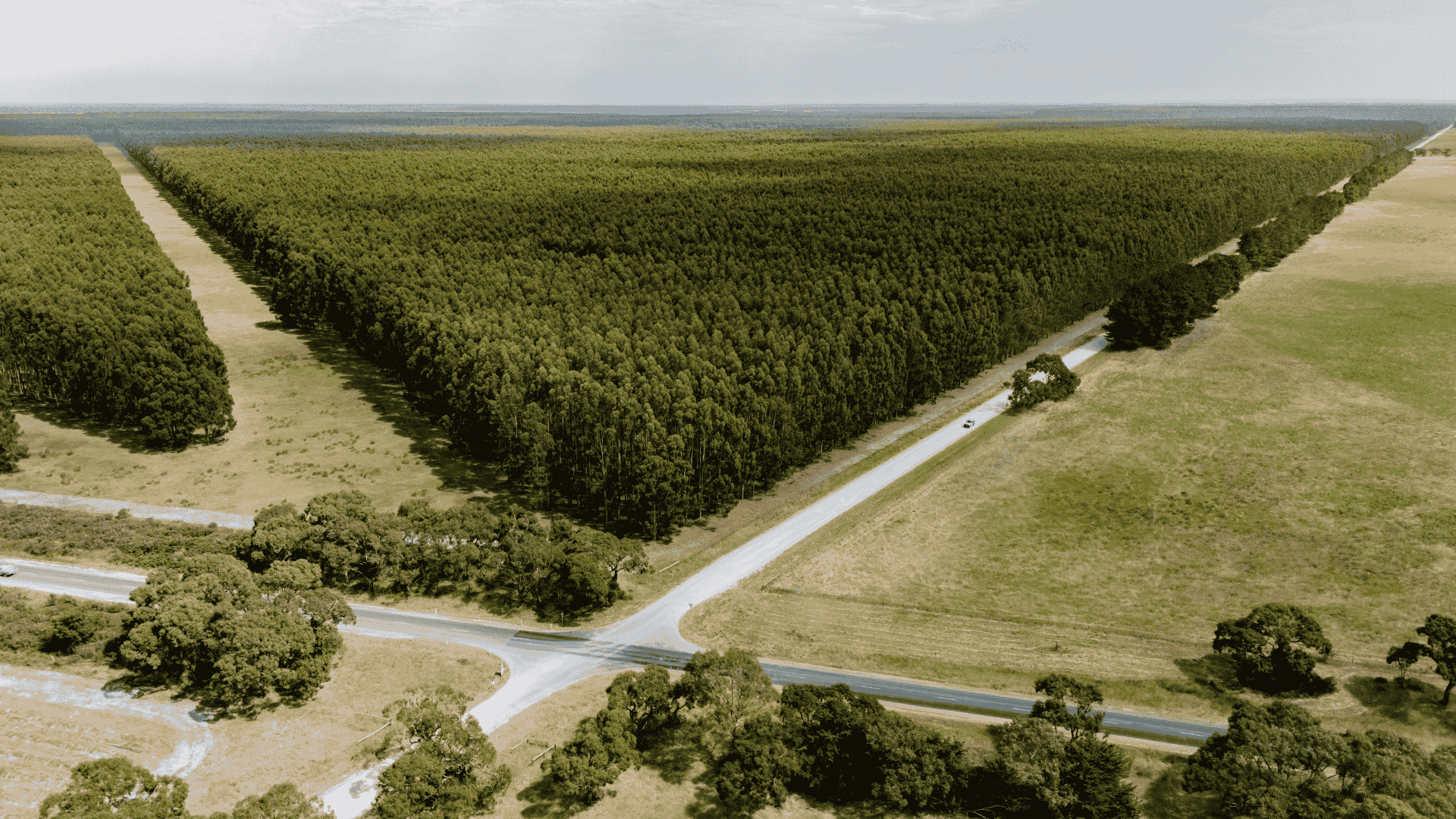 Major aggregations, elite dairy and a Rinehart divestment