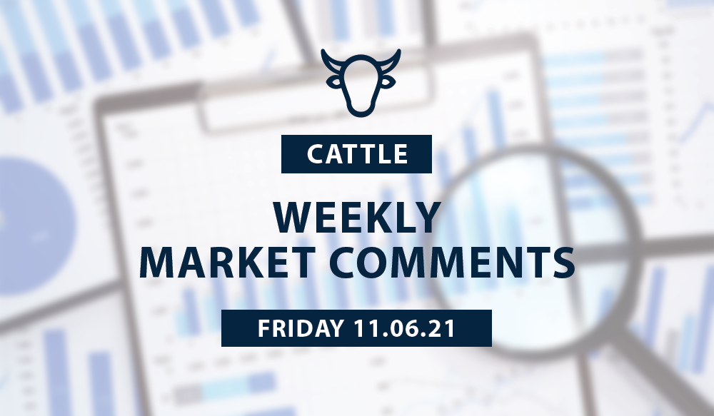 Weekly Cattle Comments - 11.06.21