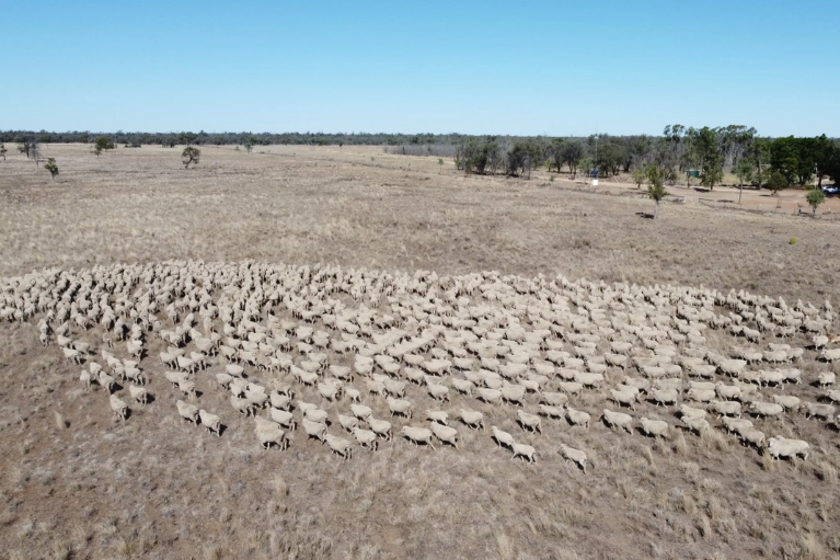Well-known corporate lists major holding as fifth-generation graziers sell up