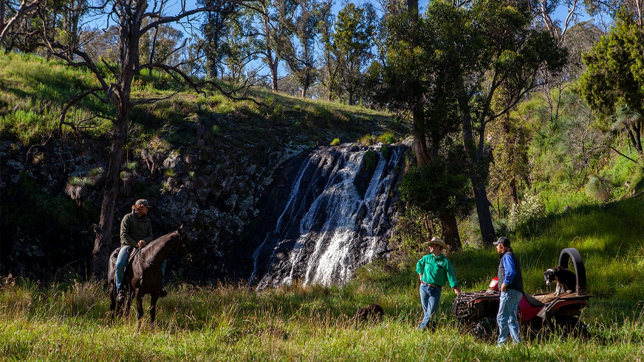 Wilmot Cattle's Stuart Austin kickstarting conversations about farmer mental health