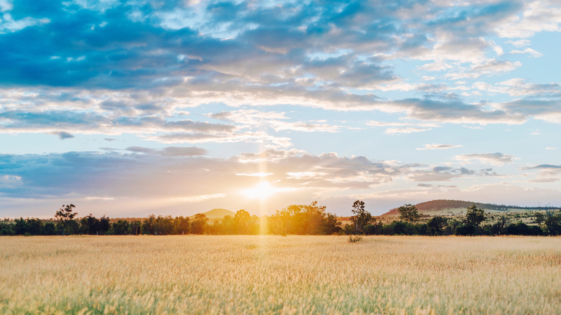 Building the environmental bank account