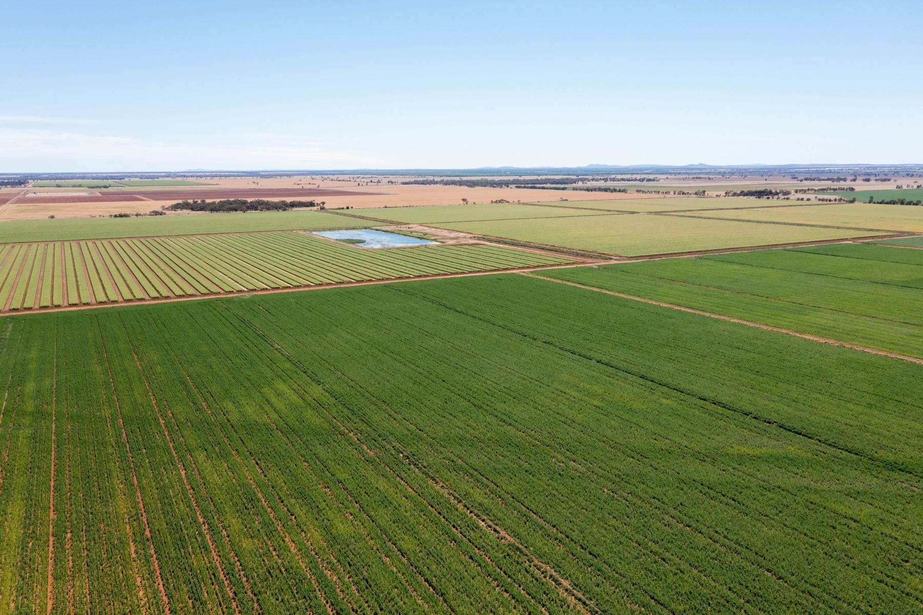 Farmer fury over rare earths mine approval
