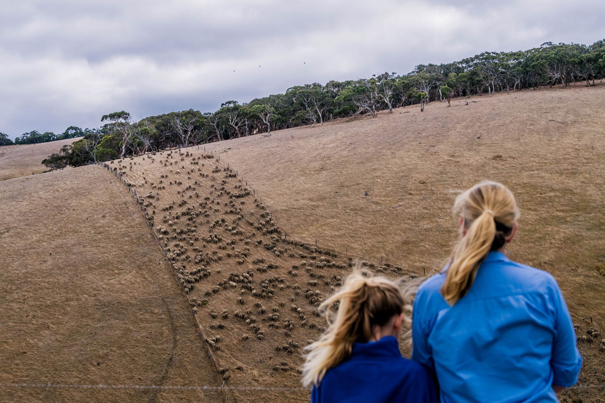 'This is really scary': farmers battle historic drought