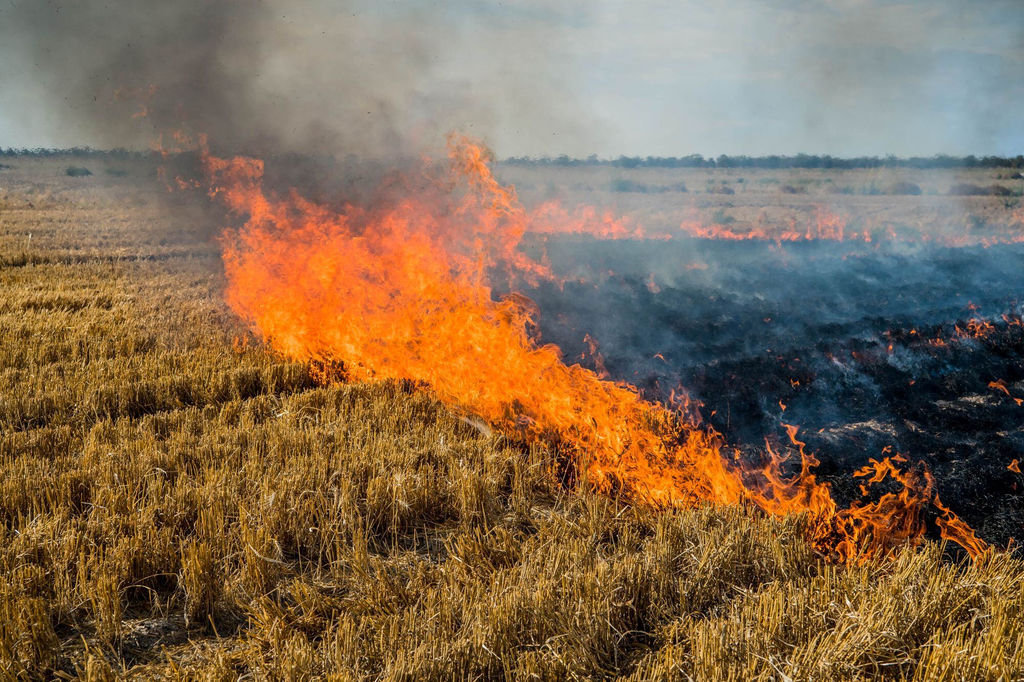 Emergency calls did not connect during fatal farm fire