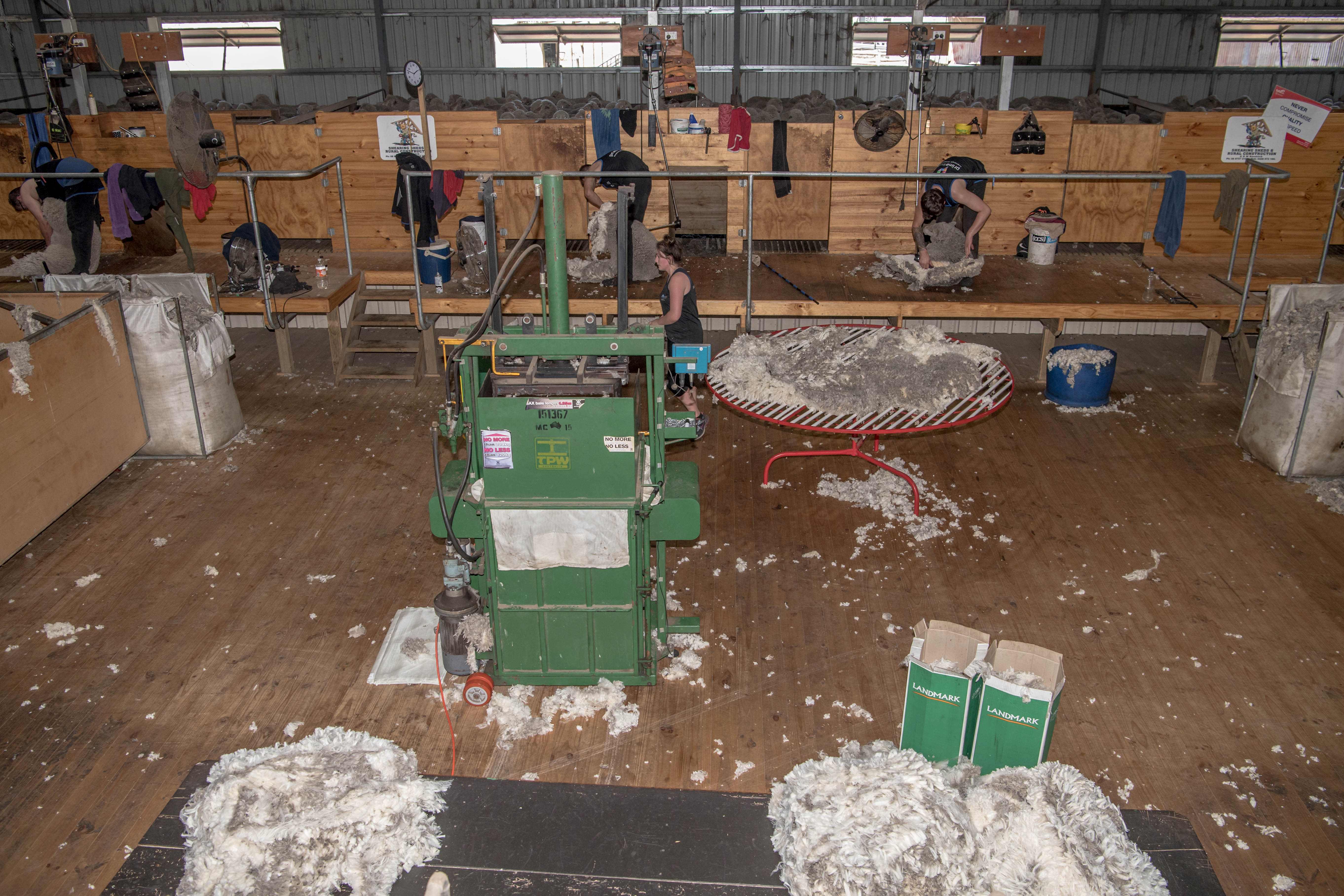 On the tenth day of Christmas: Wool tables lead as top-performing machinery item