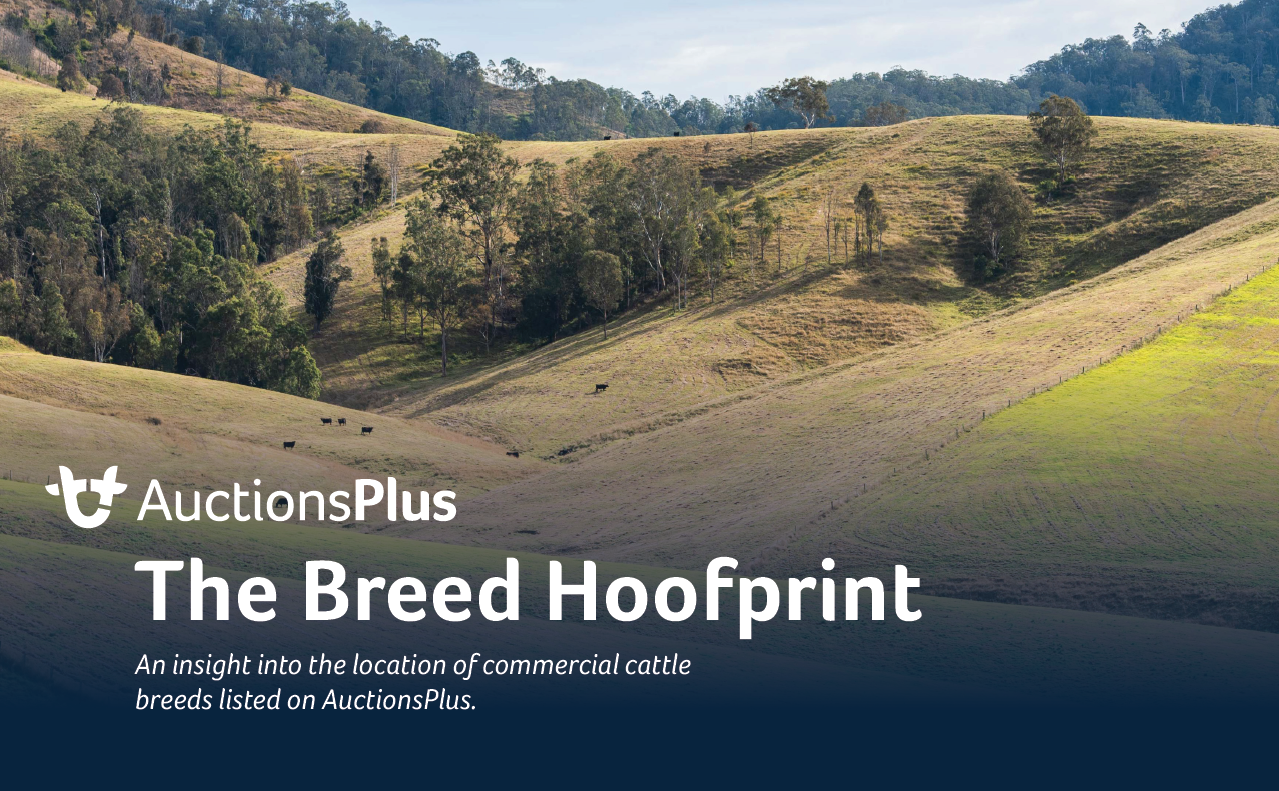 The Breed Hoofprint