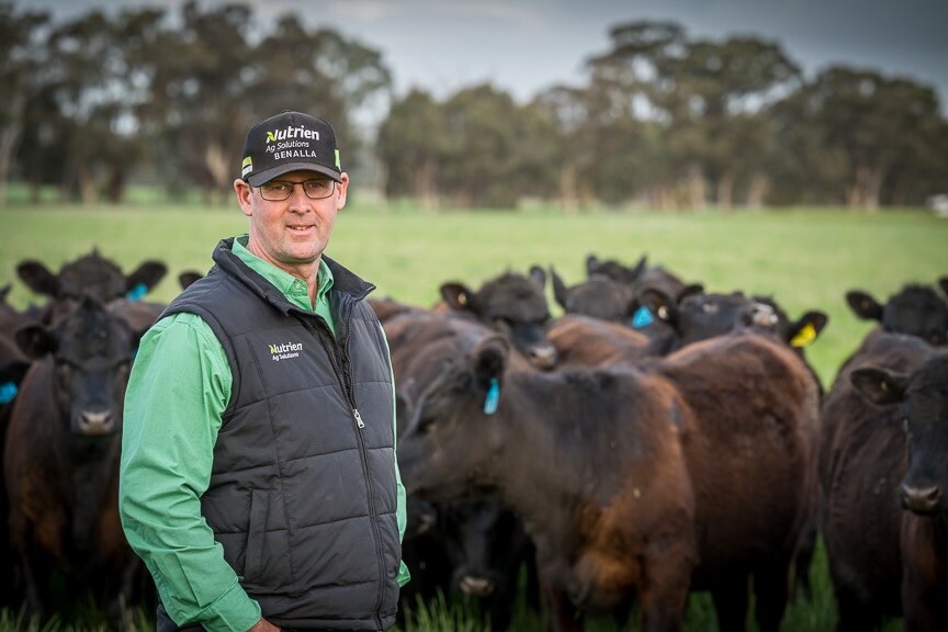 Howard Gardner Award - AuctionsPlus Awards 2024