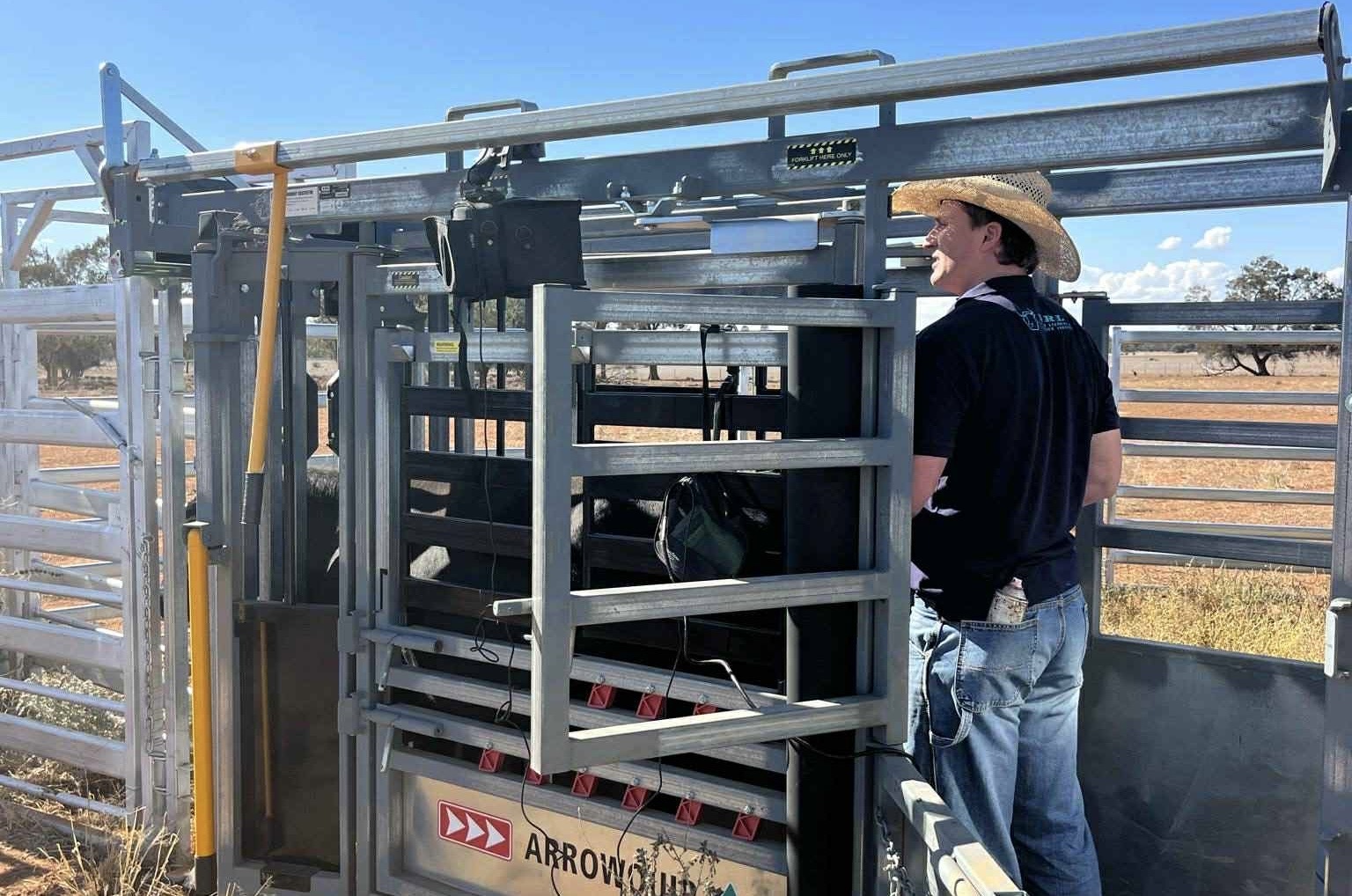 Hay Plains young gun bringing fresh eyes to cattle reproduction