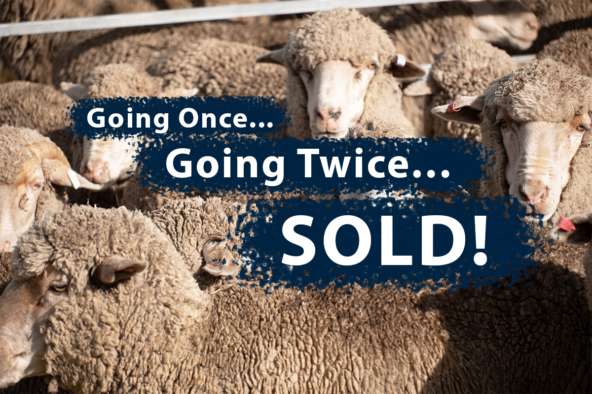 Going Once, Going Twice…SOLD!