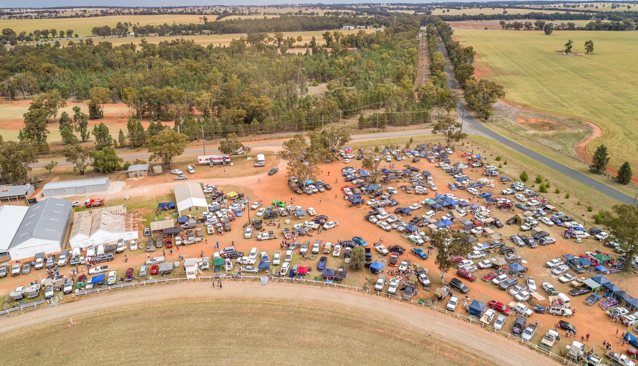 Reviving rural traditions: The impact of B&S balls and picnic races