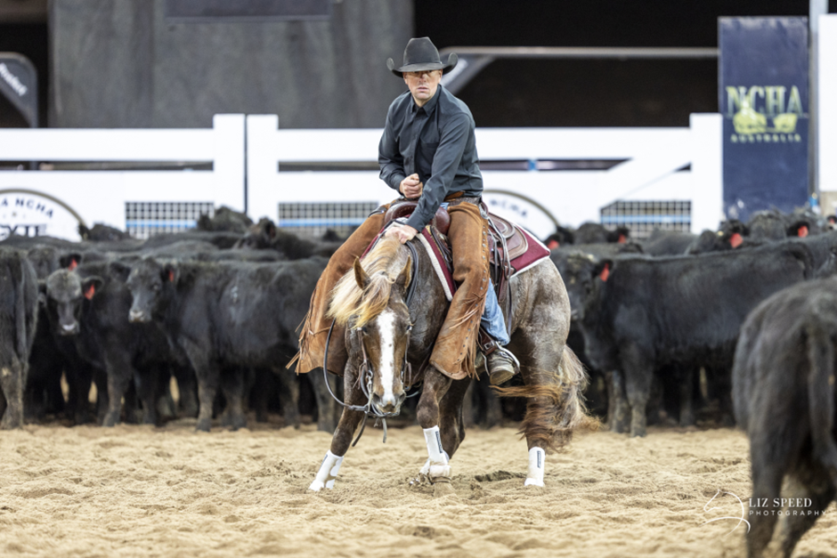 2025 Nutrien Equine Classic Sale grosses $1.9M in online sales