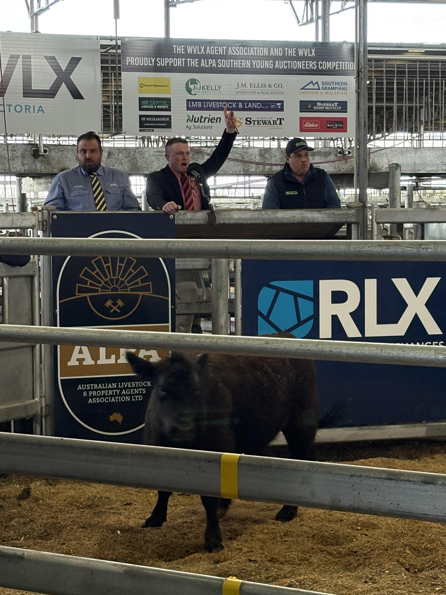 Elders’ Gadd and McCarthy claim VIC and SA young auctioneer titles
