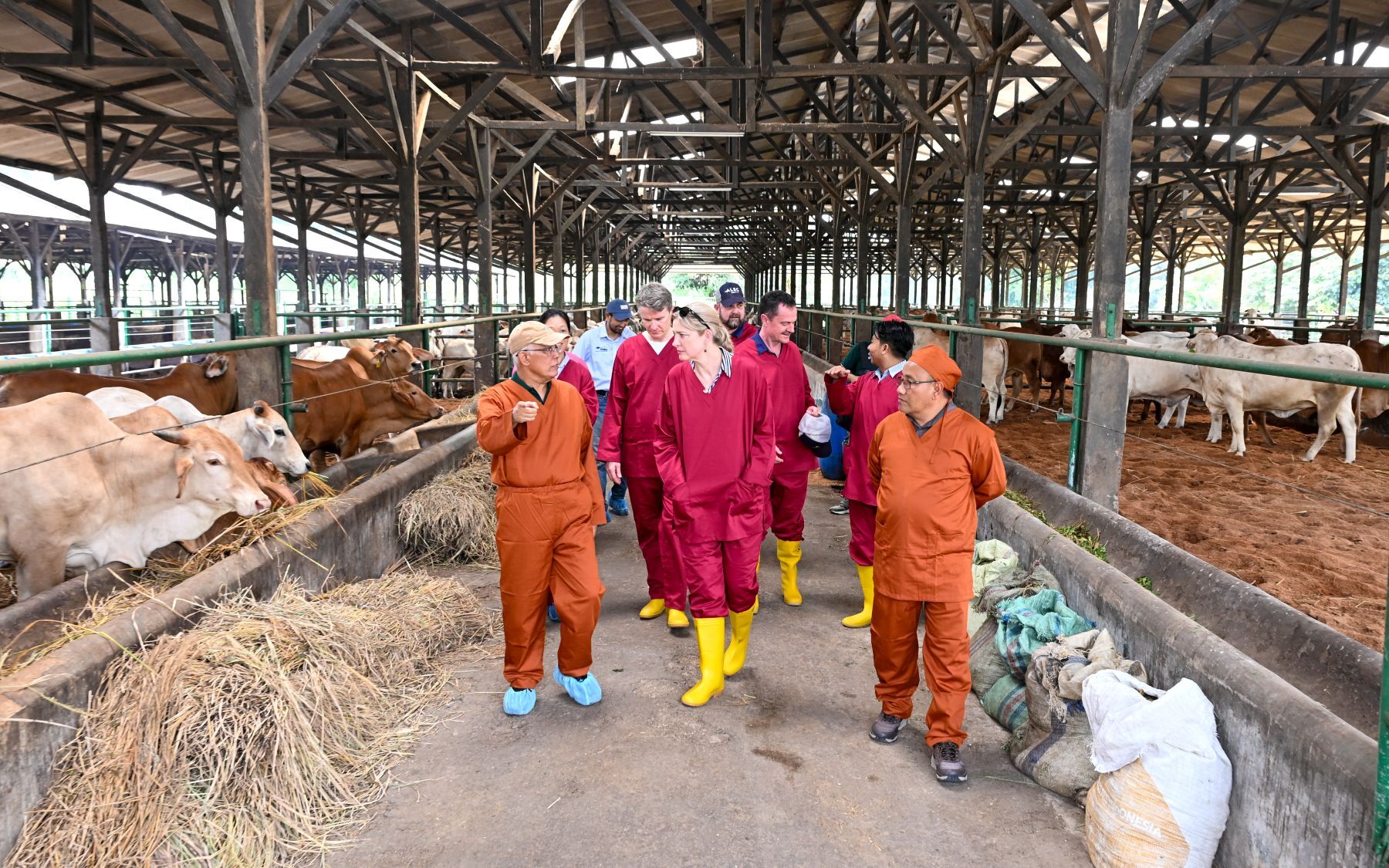 Collins visits Australia's largest live cattle export market