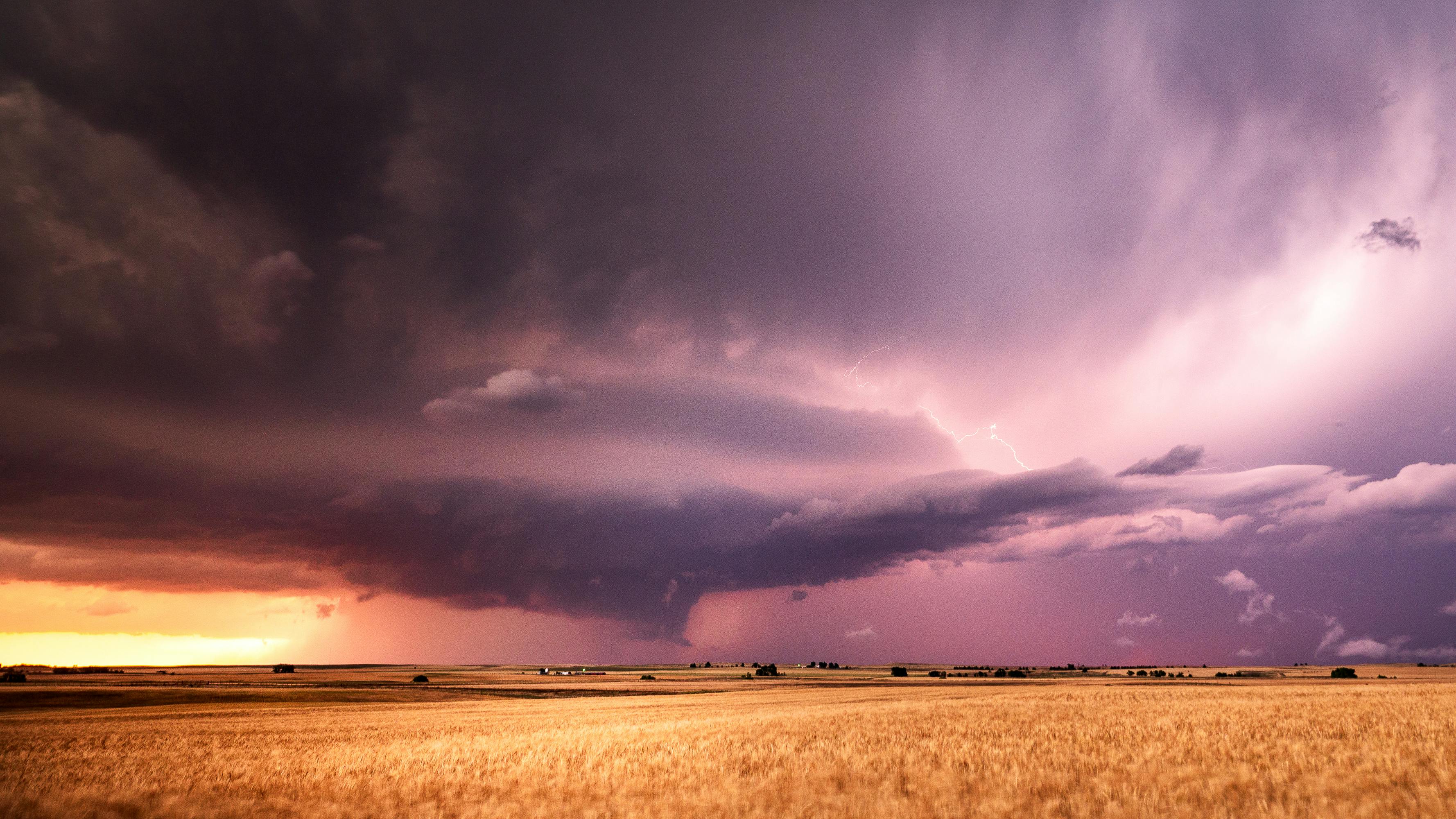 How lightning-inspired tech is supercharging crop growth