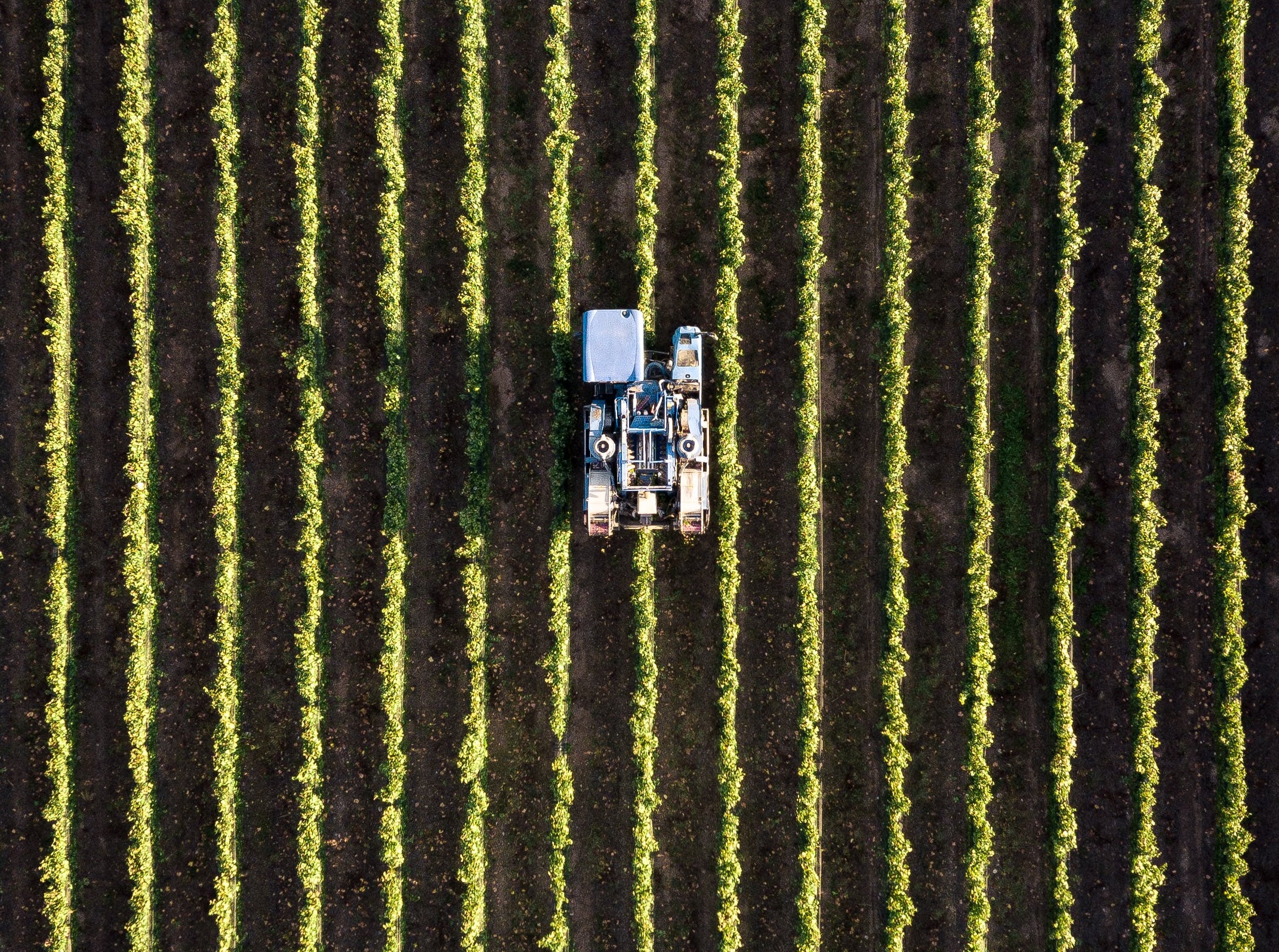 Cargill makes new zero-deforestation pledge